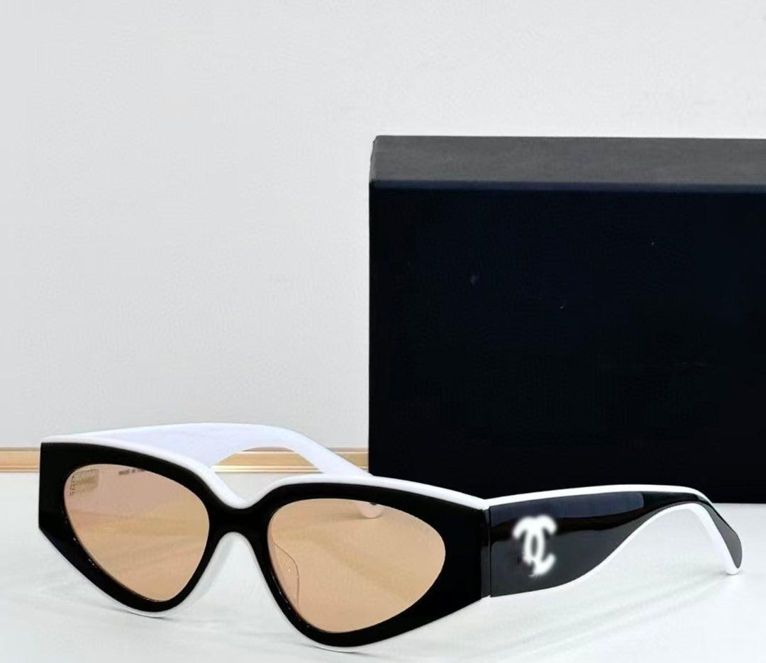 Iconic Contrast Sculpted Eyewear – Geometric Cat-Eye Silhouette